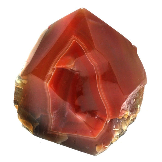 Carnelian - Tree Of Life Shoppe