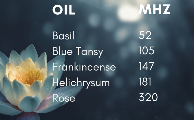 Raise Your Body Frequency With Essential Oils - Tree Of Life Shoppe