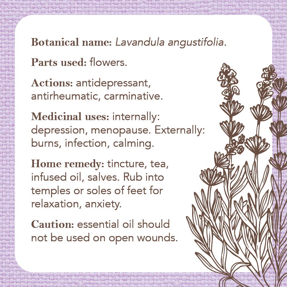 Apothecary Flashcards: A Pocket Reference For Herbs