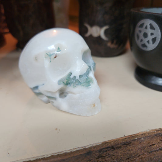 Tree Agate Druzy Skull 2 1/2 by 3”