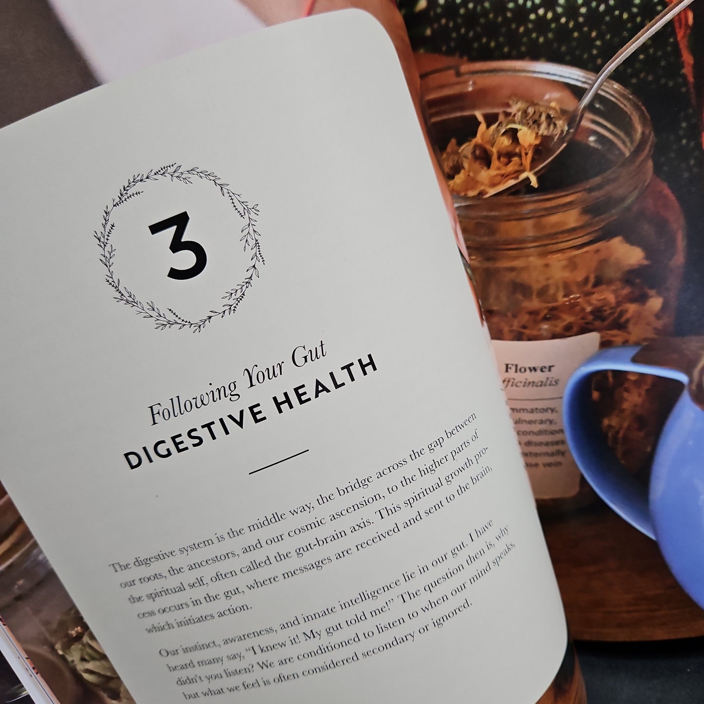 The Art and Practice of Spiritual Herbalism (Hard Cover Book) by Karen M.Rose