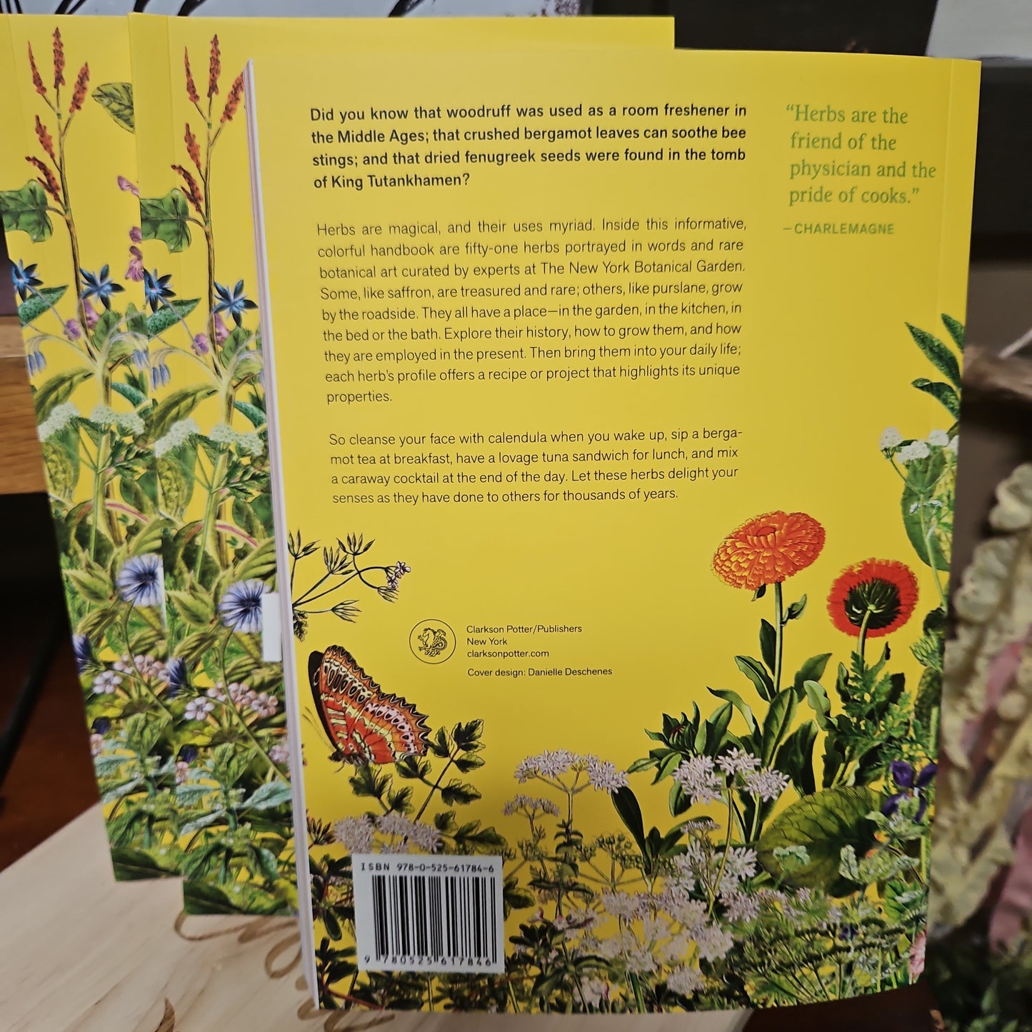 Herbal Handbook - With Recipes, Tinctures, Teas, Balms, and More
