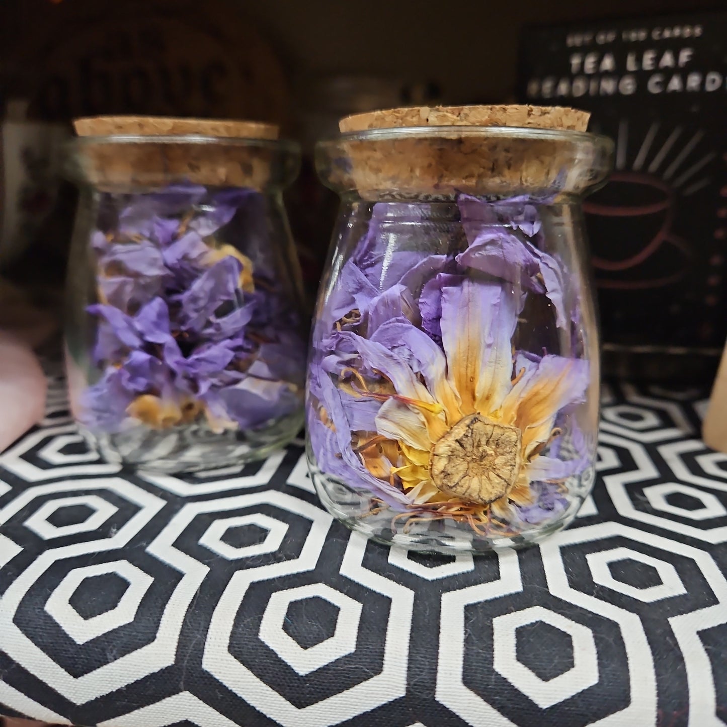 Blue Lotus - Organic Dried Flowers in Apothecary Jar