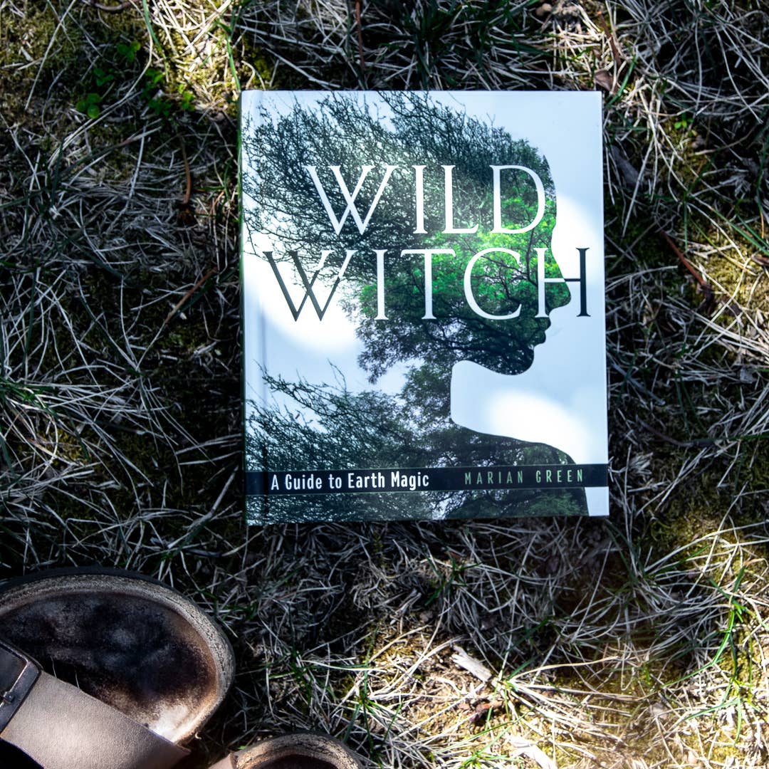 Wild Witch (Hard Cover)
