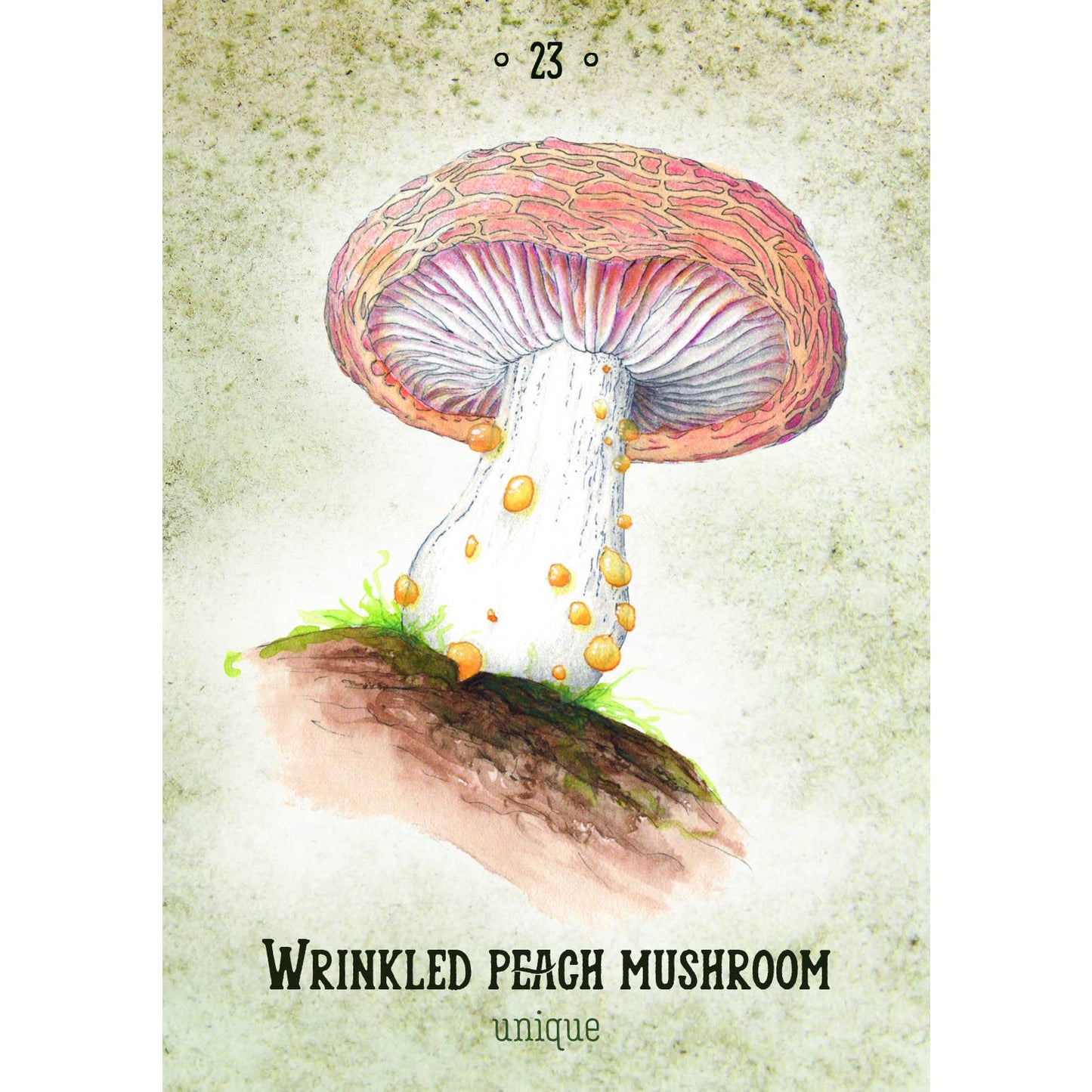 Mushroom Spirit Oracle