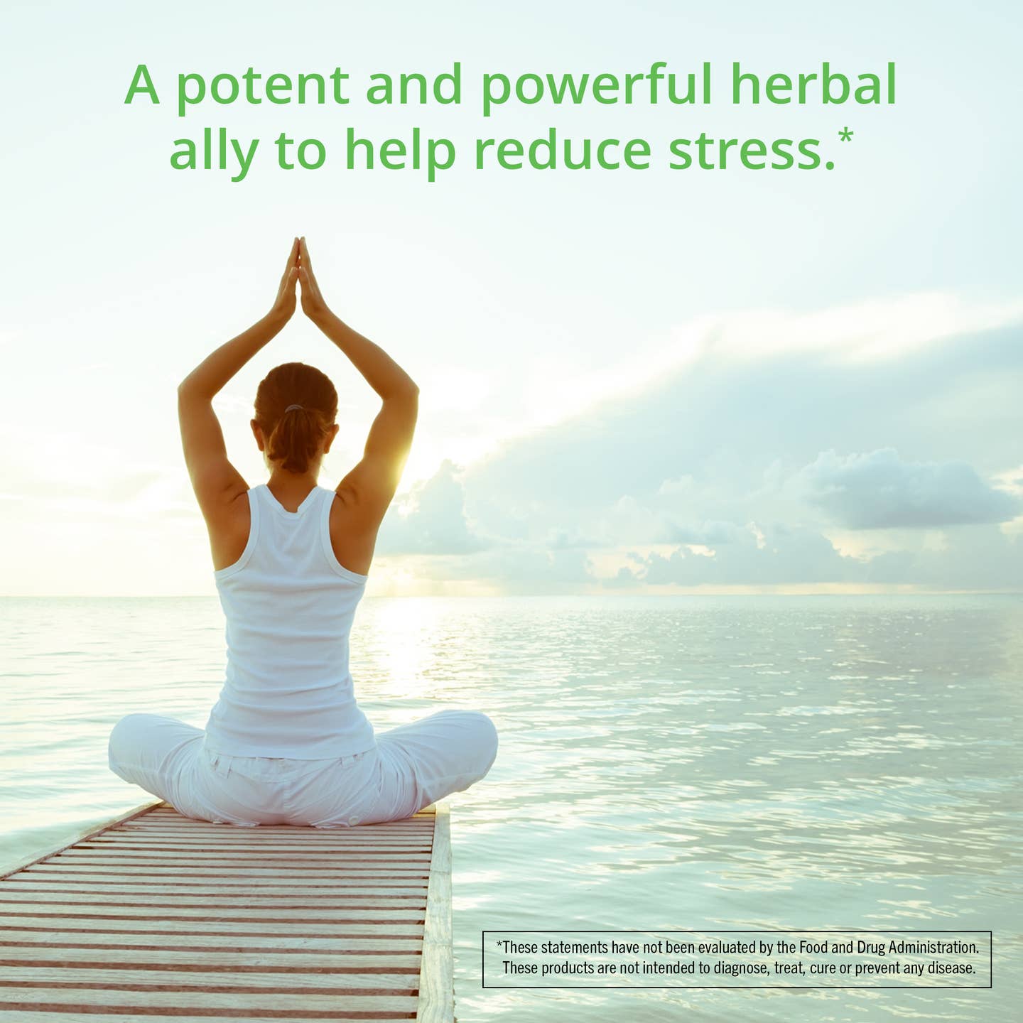 Organic Ashwagandha Supplement