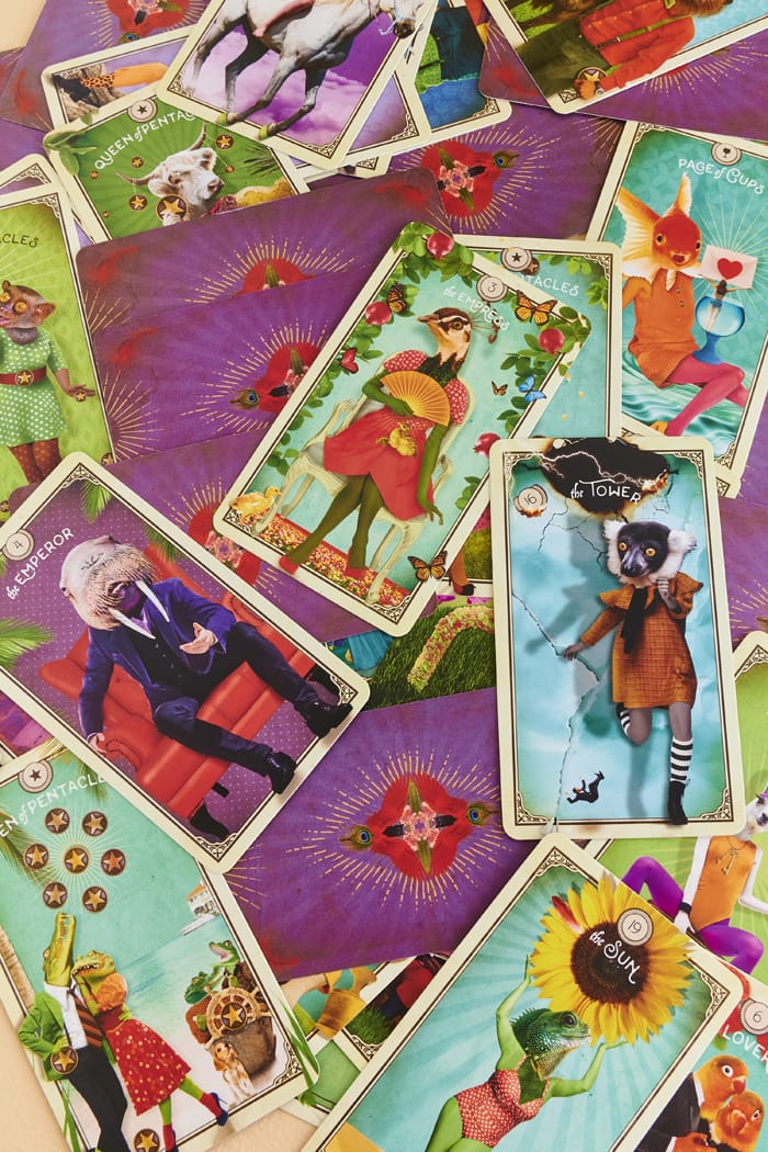 The Curious Tarot Deck