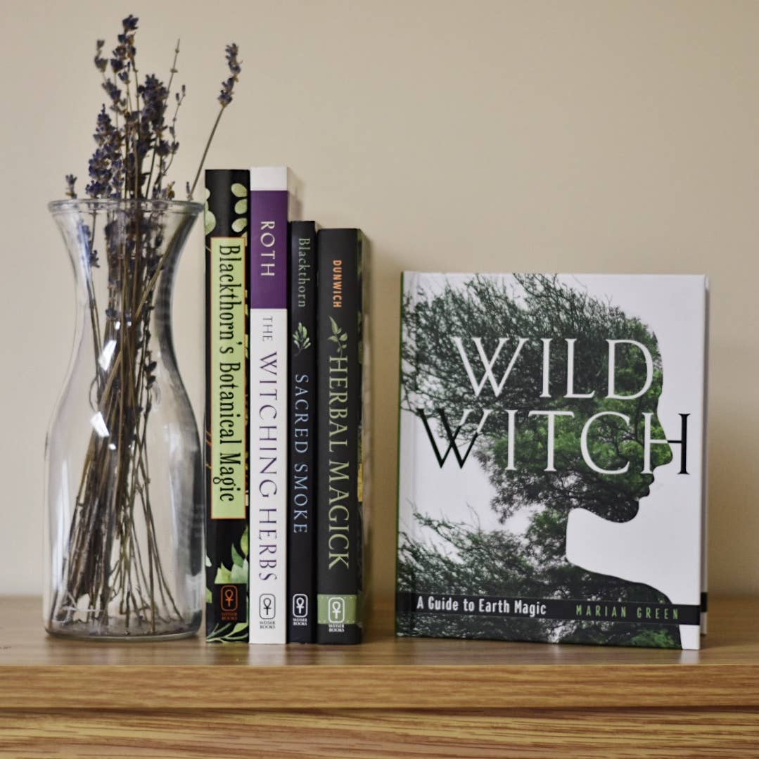 Wild Witch (Hard Cover)