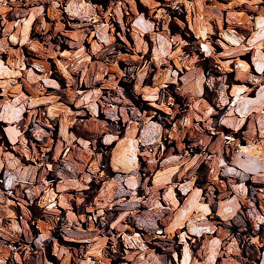 White Willow Bark