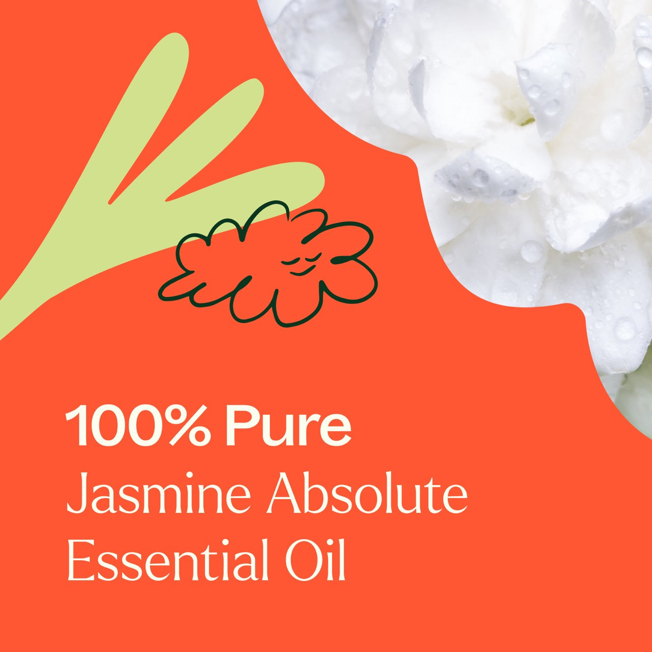 Jasmine Absolute Essential Oil 2.5 ml ( Kidsafe )