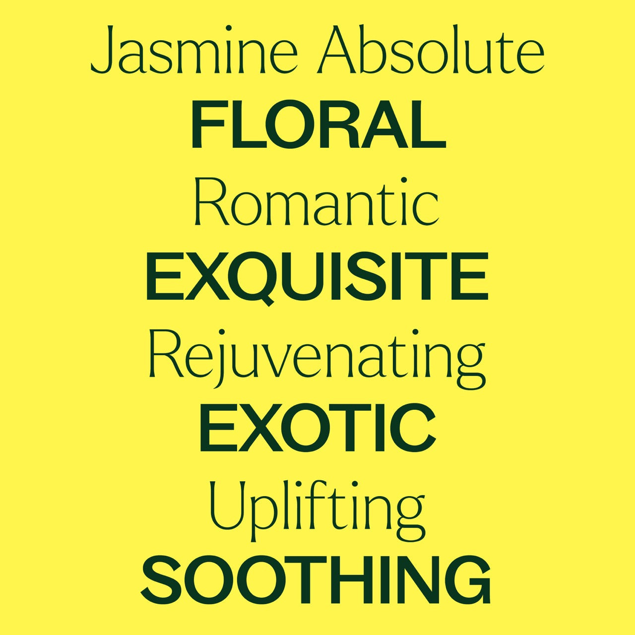 Jasmine Absolute Essential Oil 2.5 ml ( Kidsafe )