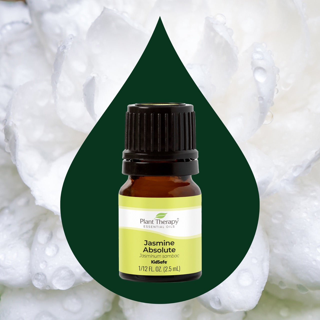 Jasmine Absolute Essential Oil 2.5 ml ( Kidsafe )