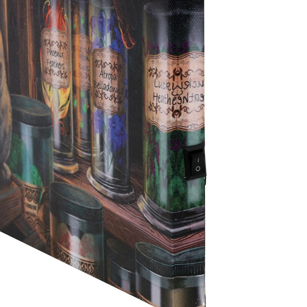 Magical Emporium Light Up Canvas Print by Lisa Parker