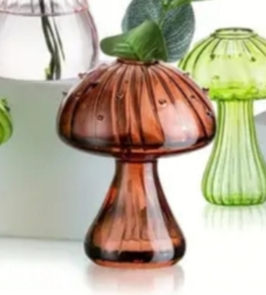 Assorted Glass Mushroom Hydroponics Vases