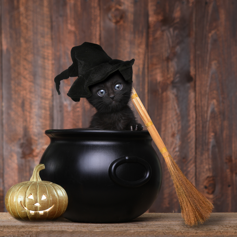 Put A Spell On You Herbal Tea