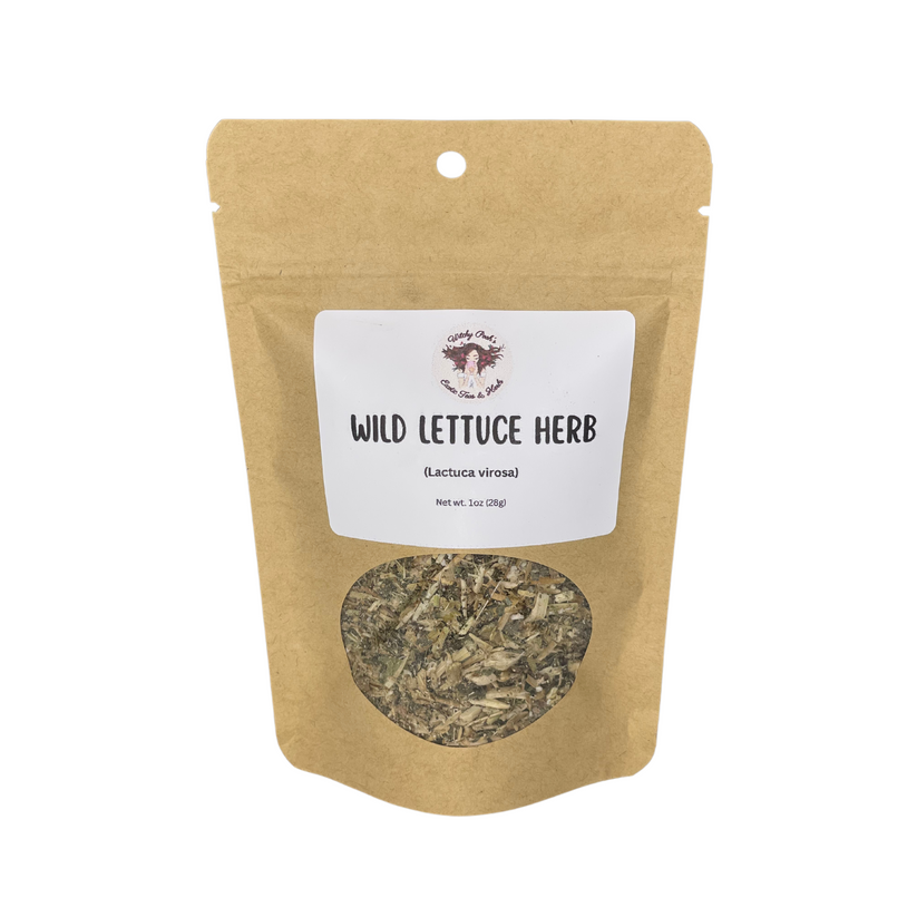 Wild Lettuce Herb (Lactuca virosa)