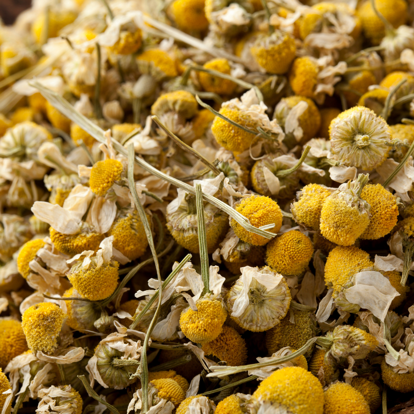Chamomile Flower Herb / Tea