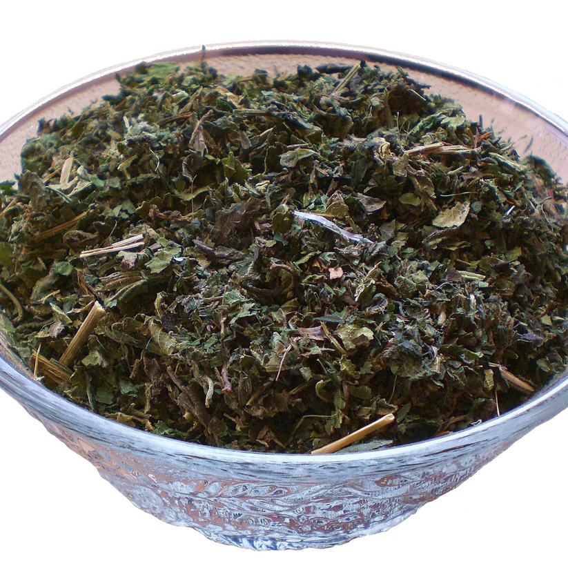 Stinging Nettle - Herb