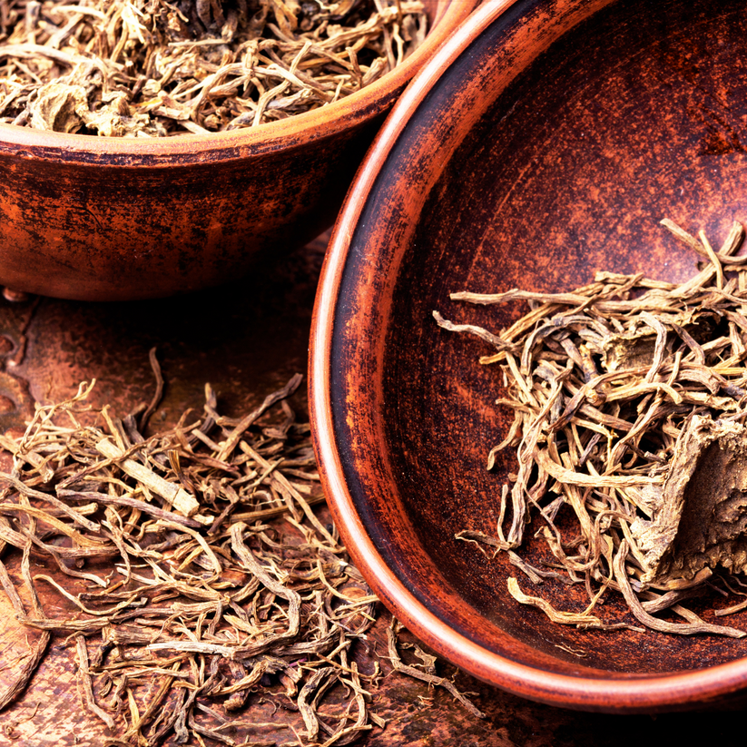 Valerian Root (Valeriana wallichii) - Herb