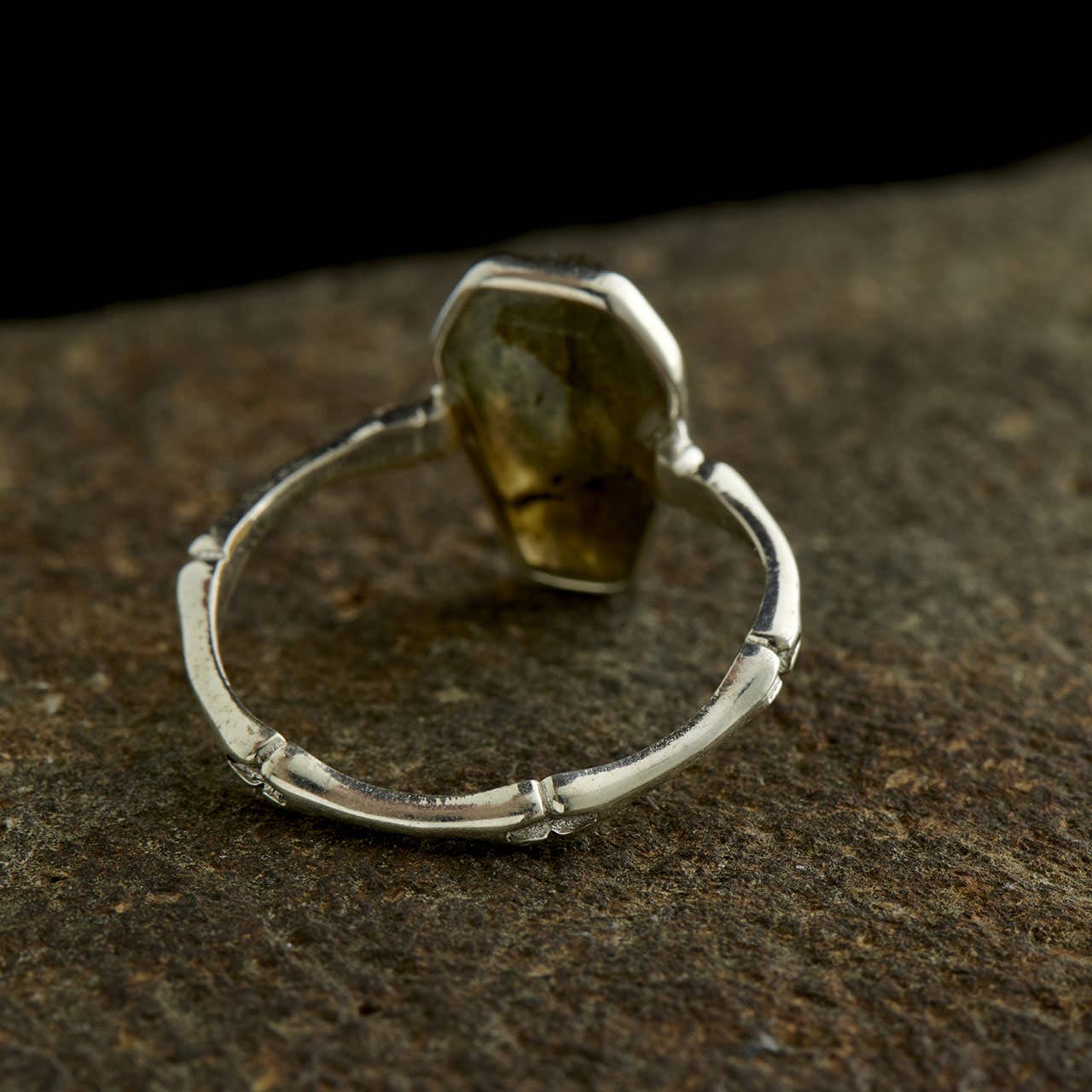 Labradorite Bone - Band Coffin Ring