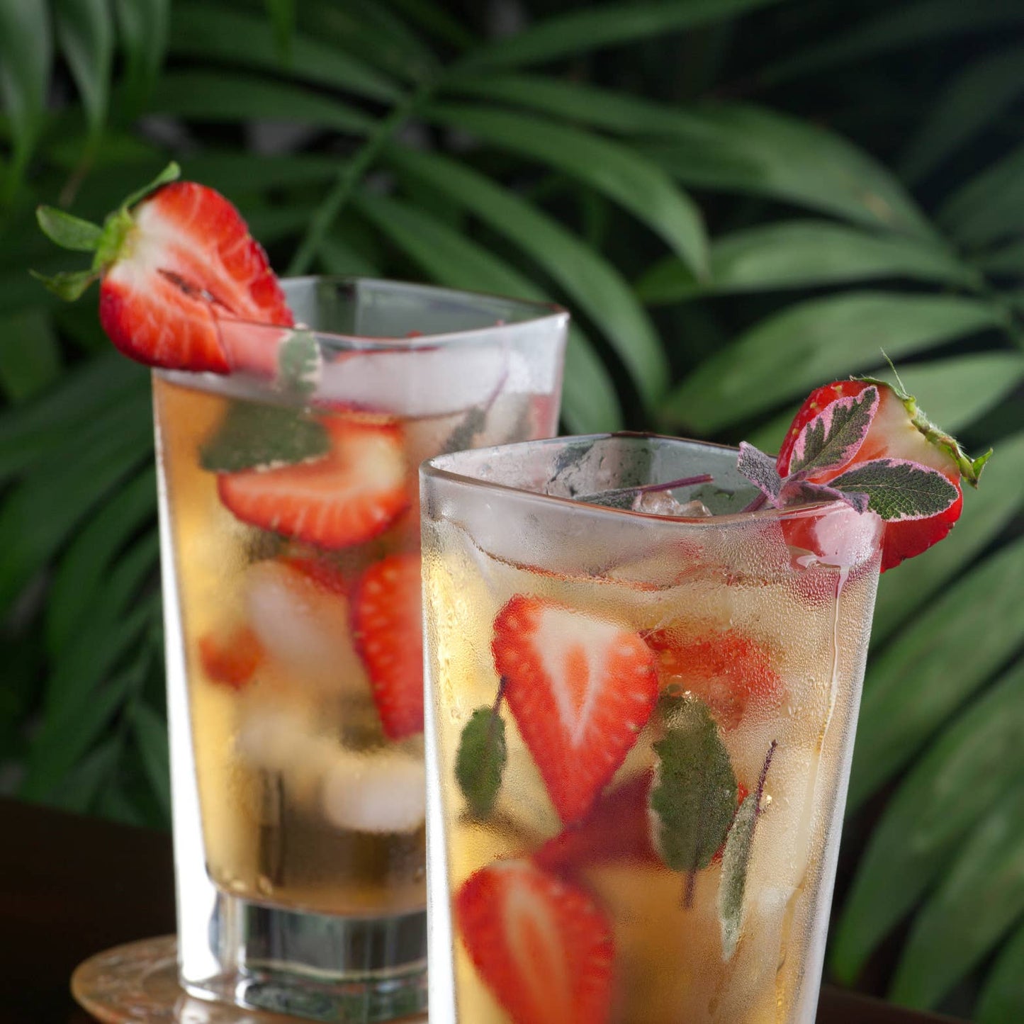 Strawberry Herb Fields Black Tea