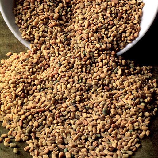 Herb - Fenugreek Seed .25 oz