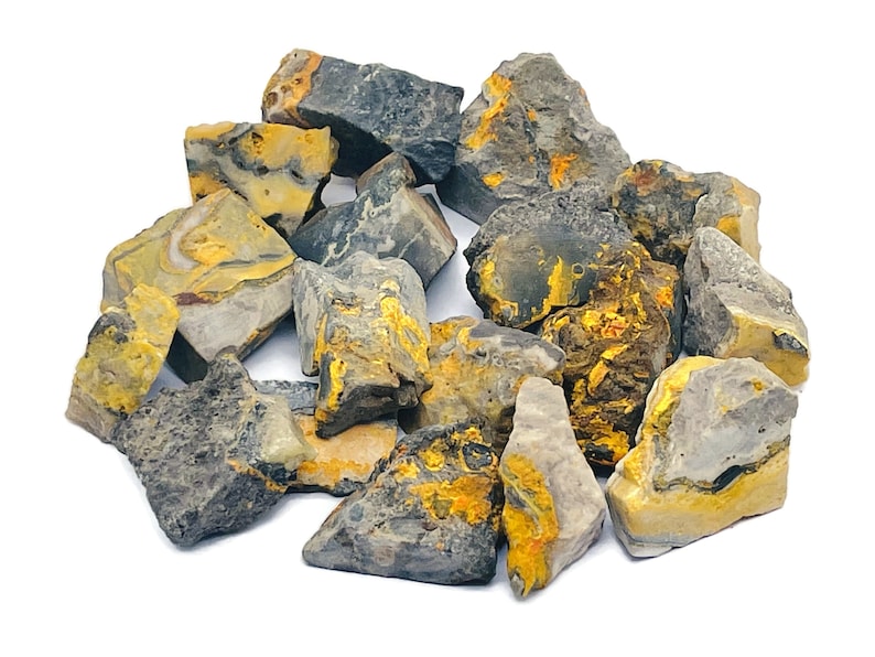 Jasper, Bumble Bee - Raw