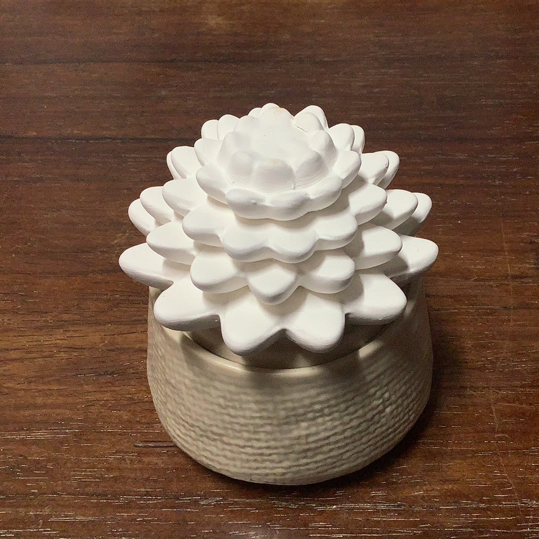 young living succulent diffuser Succulent Essential Oil Diffuser – Tree Of Life Shoppe