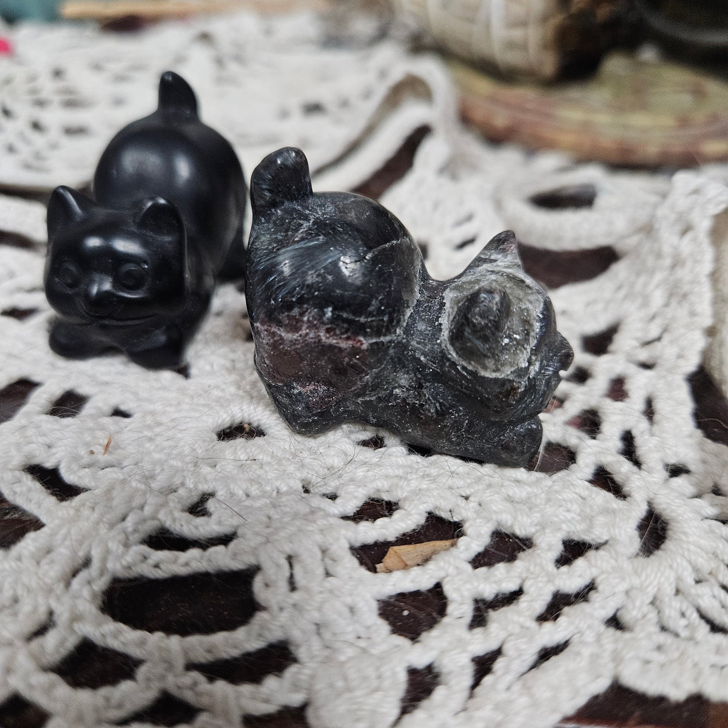 Spirit Animal - Playful Cat