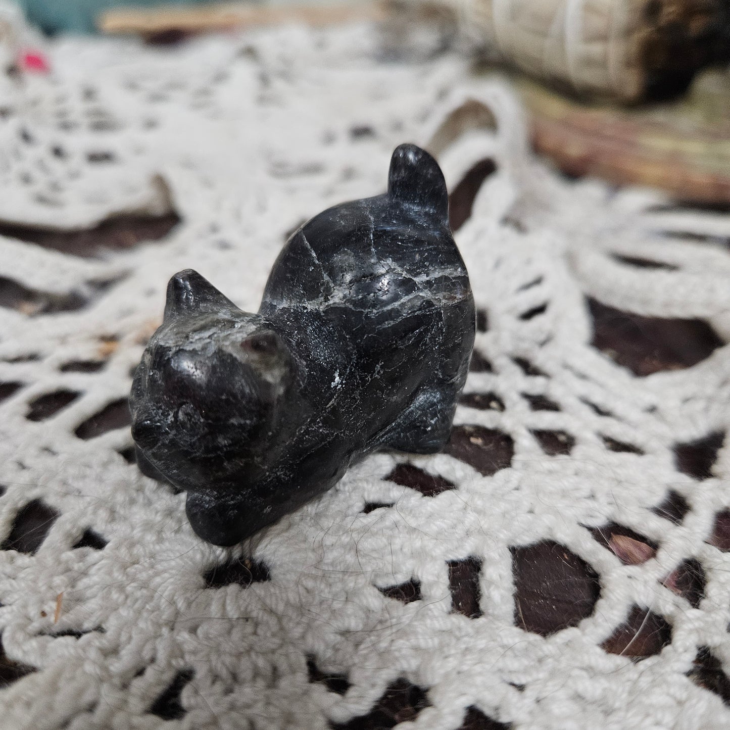 Spirit Animal - Playful Cat