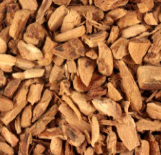 Magical Herb - Calamus Root Cut .25 oz