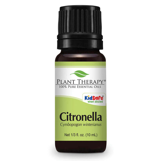 Citronella Essential Oil 10ml - Tree Of Life Shoppe
