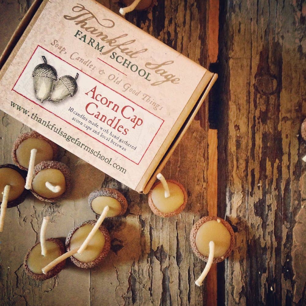 Bees Wax Acorn Cap Candles - 10 Pack