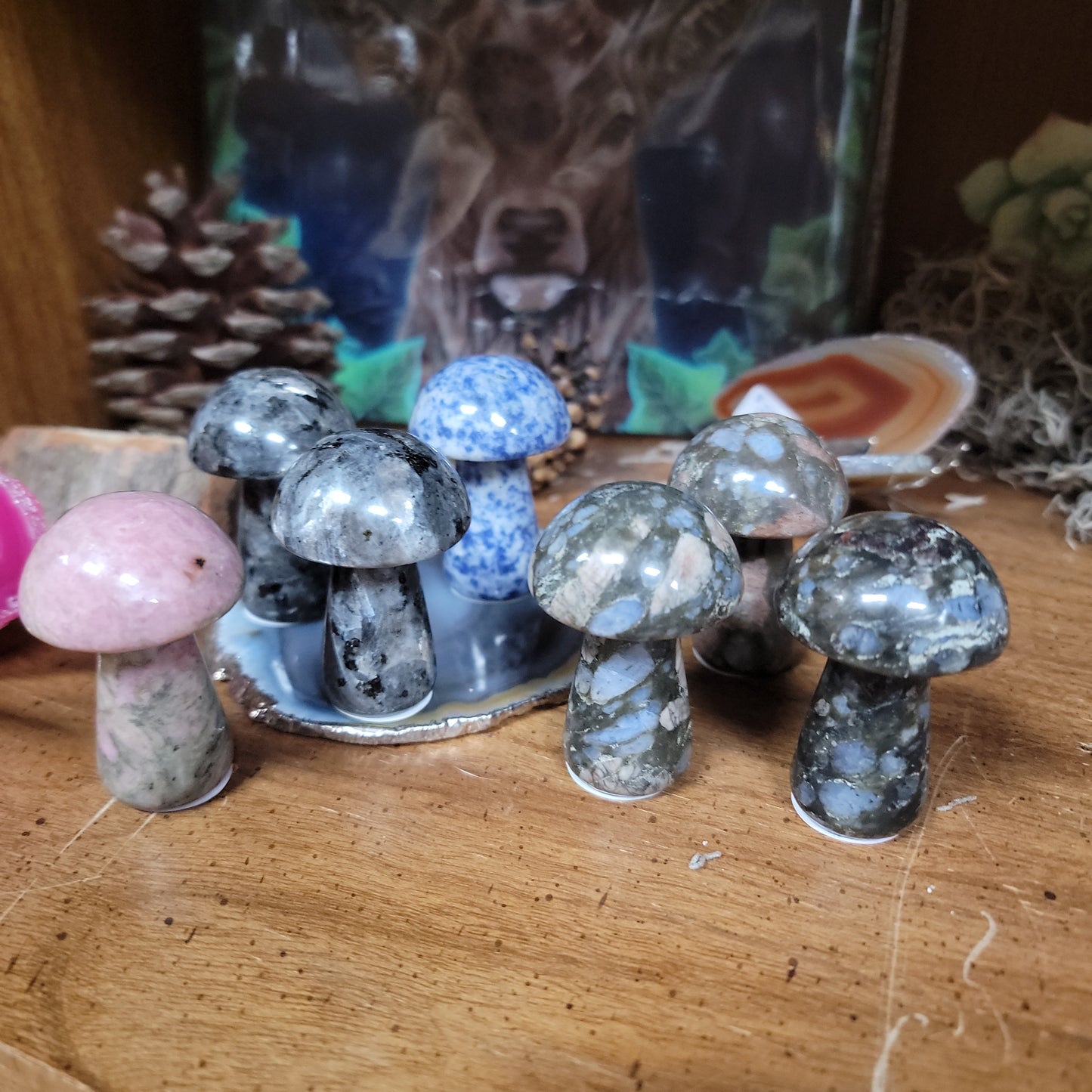 Gemstone Mushrooms - 2”