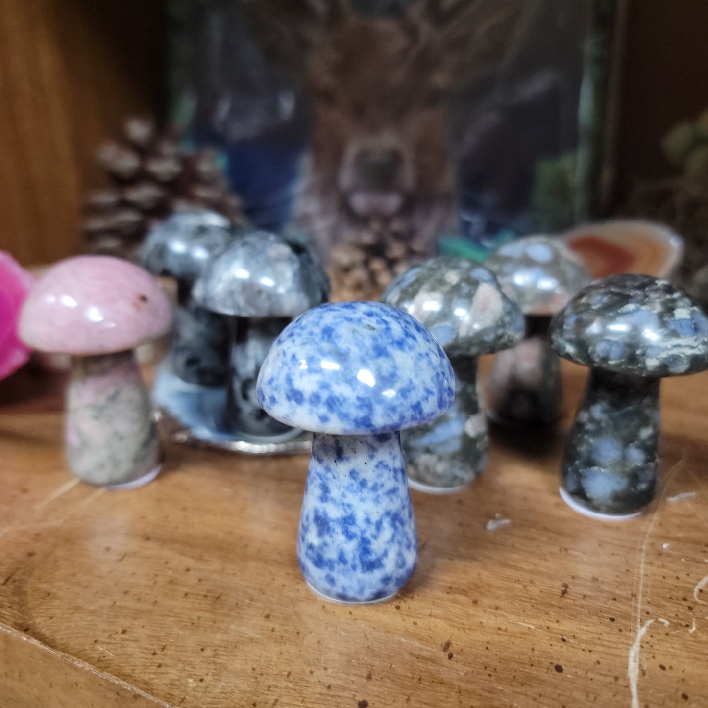 Gemstone Mushrooms - 2”
