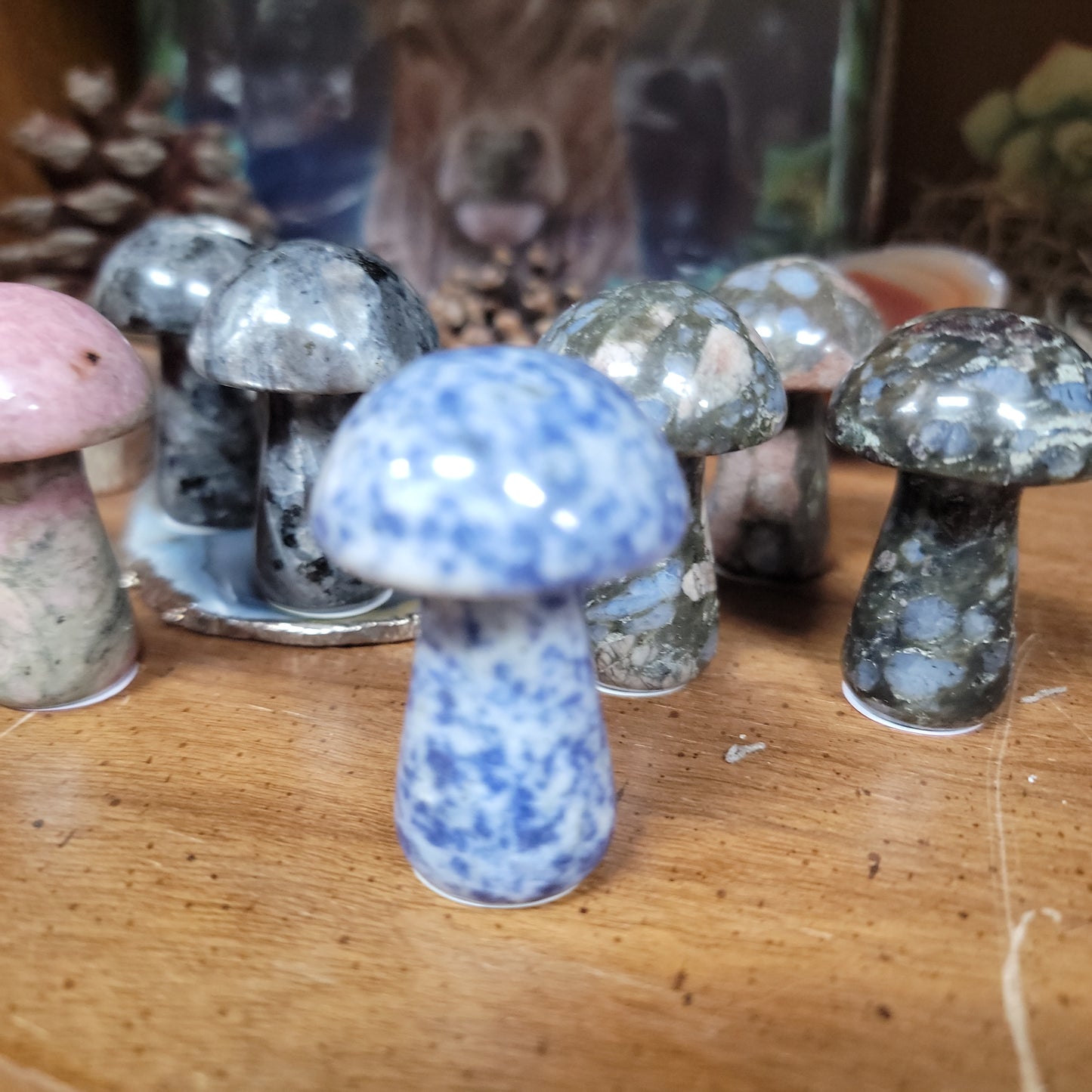 Gemstone Mushrooms - 2”