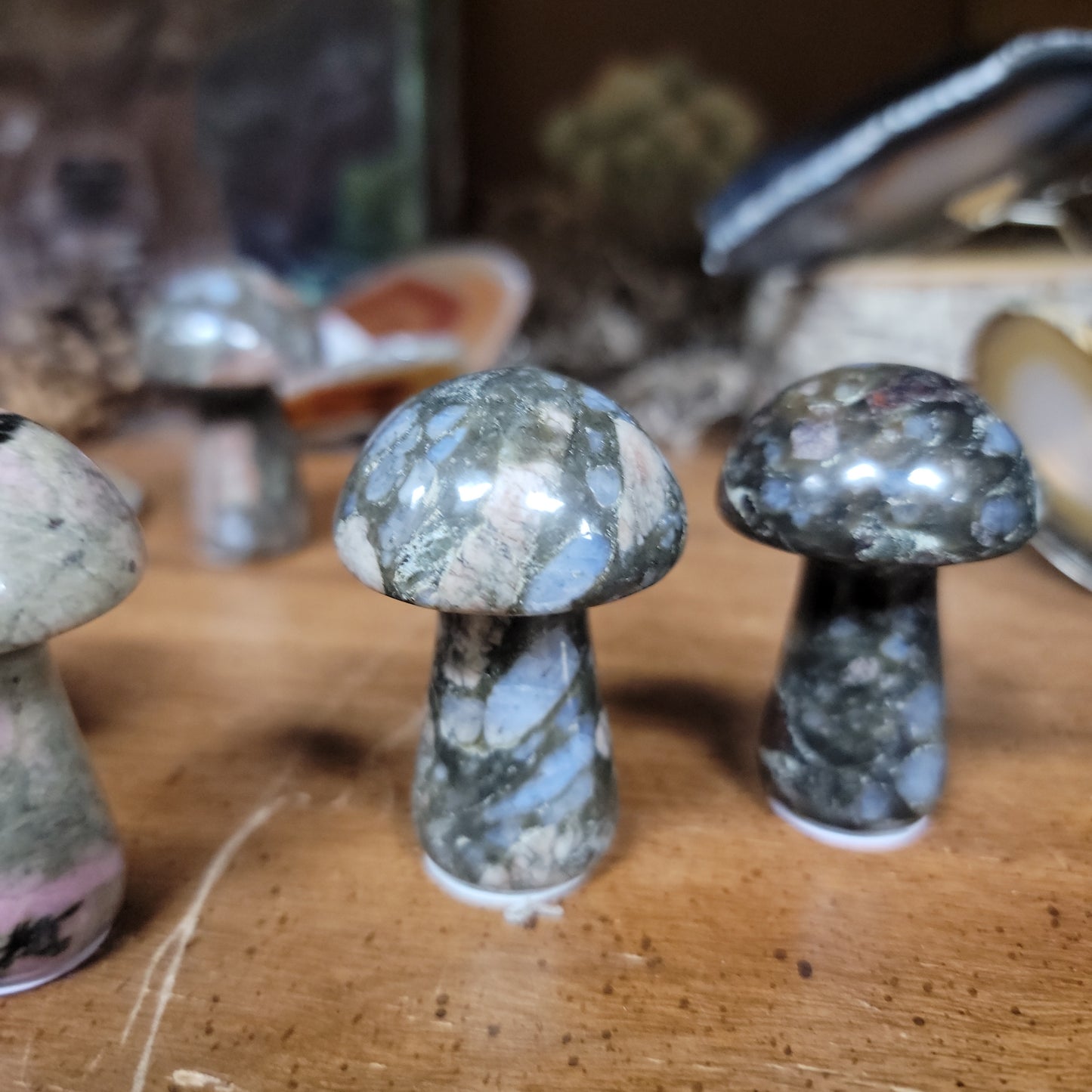 Gemstone Mushrooms - 2”