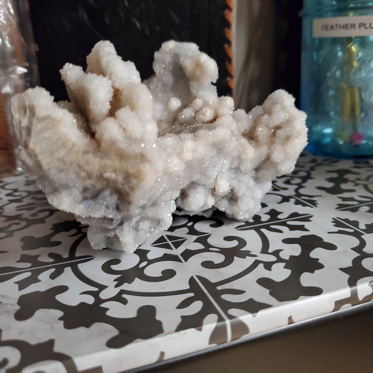 Spiralite Gemshell Specimen - Large