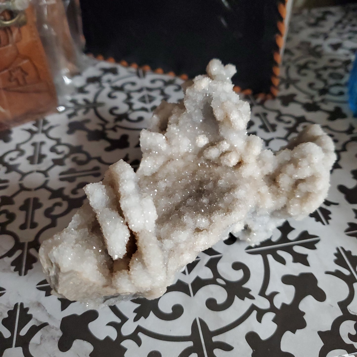 Spiralite Gemshell Specimen - Large