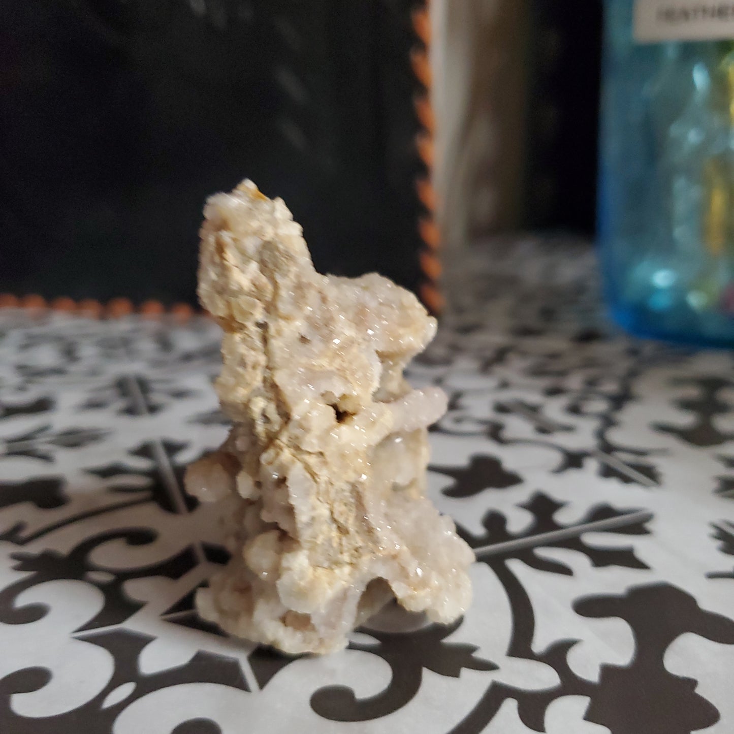 Spiralite Gemshell Specimen - Small