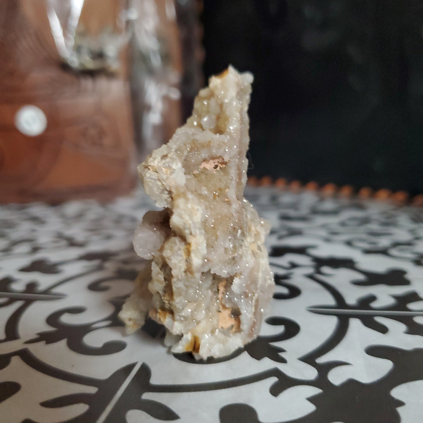 Spiralite Gemshell Specimen - Small