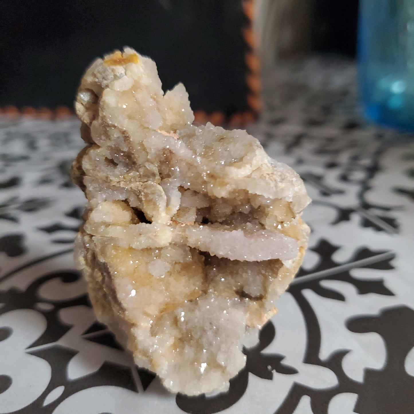 Spiralite Gemshell Specimen - Small