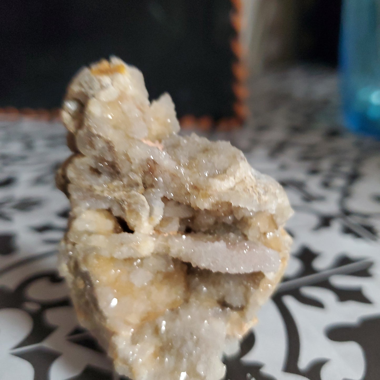 Spiralite Gemshell Specimen - Small