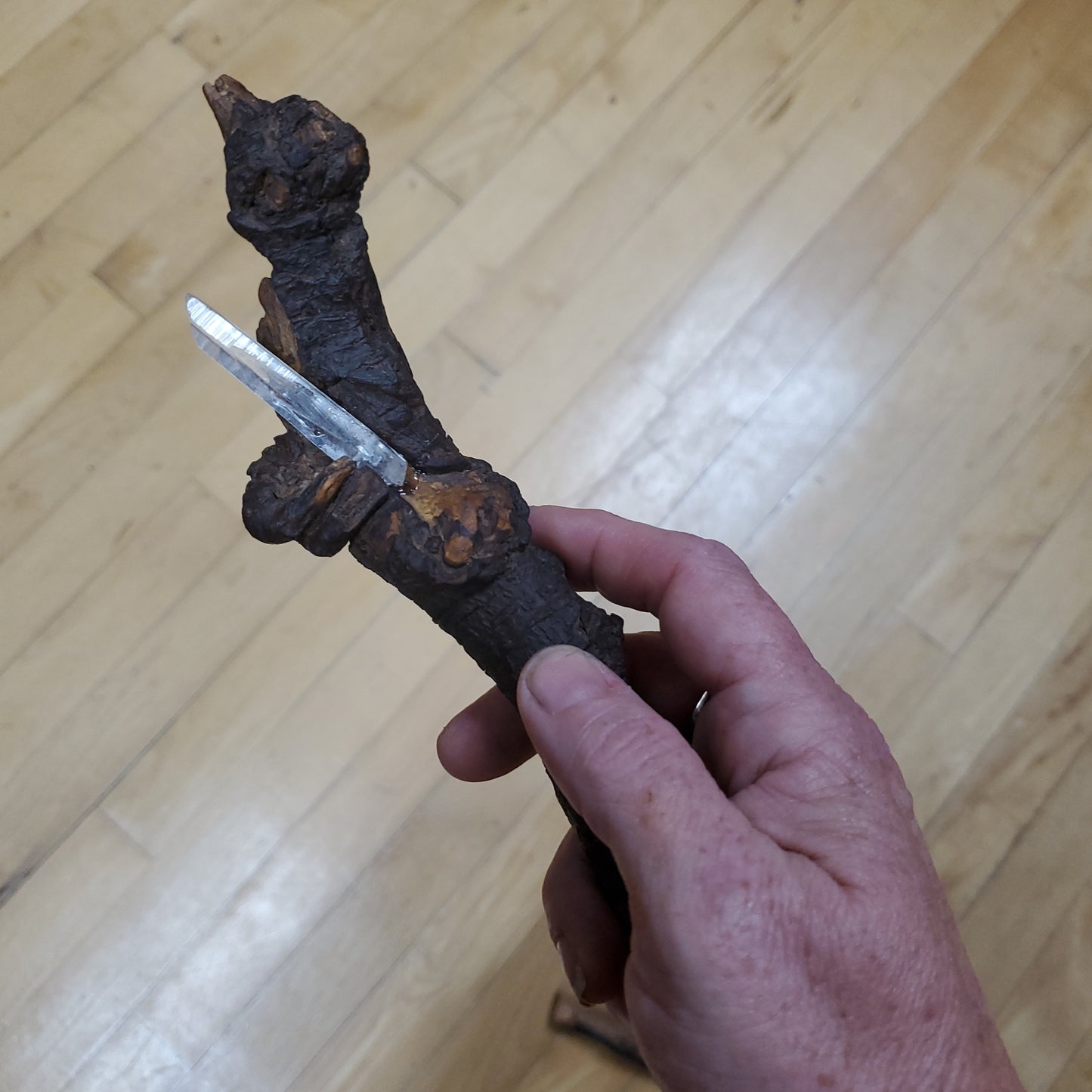 Nature's Magical Wands - Handcrafted