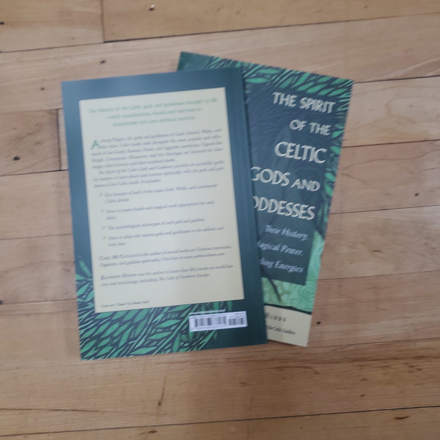 The Spirit of the Celtic Gods and Goddesses