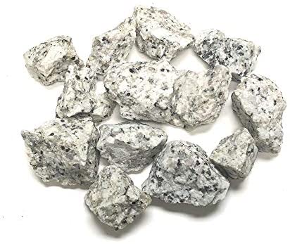 Jasper, Dalmatian - Raw - Tree Of Life Shoppe