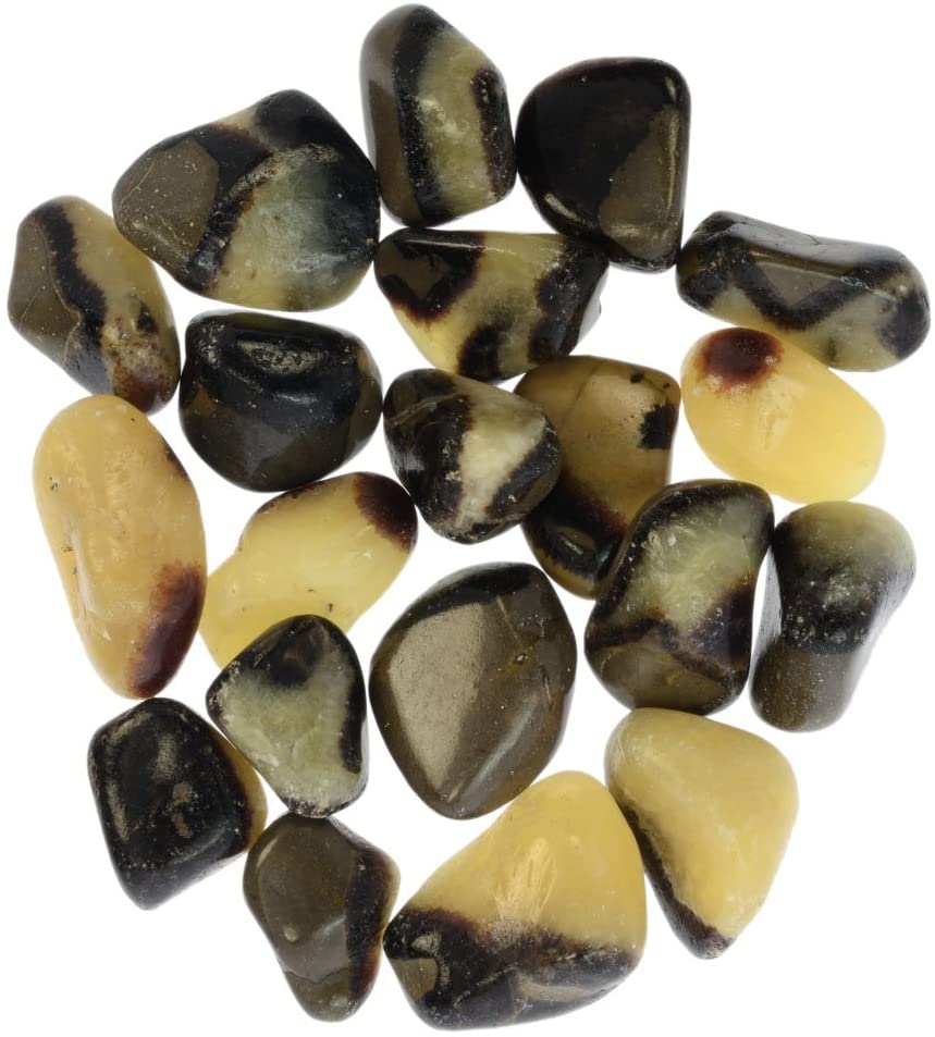 Septarian (Dragonstone) - Tumbled - Tree Of Life Shoppe