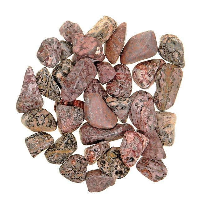 Jasper, Leopard Skin - Tumbled - Tree Of Life Shoppe