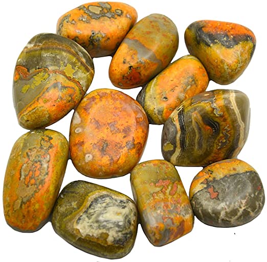 Jasper, Bumble Bee - Tumbled - Tree Of Life Shoppe