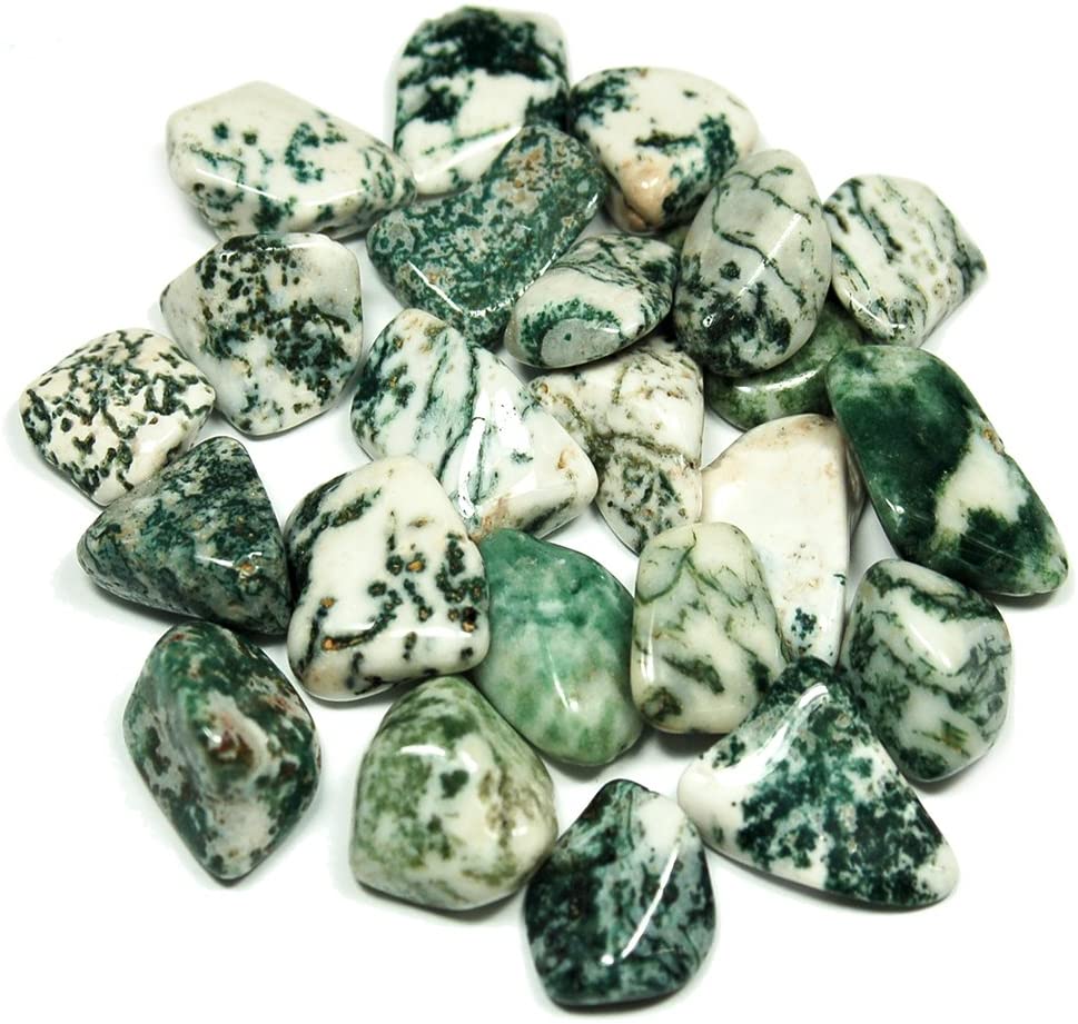 Agate, Tree - Tumbled - Tree Of Life Shoppe